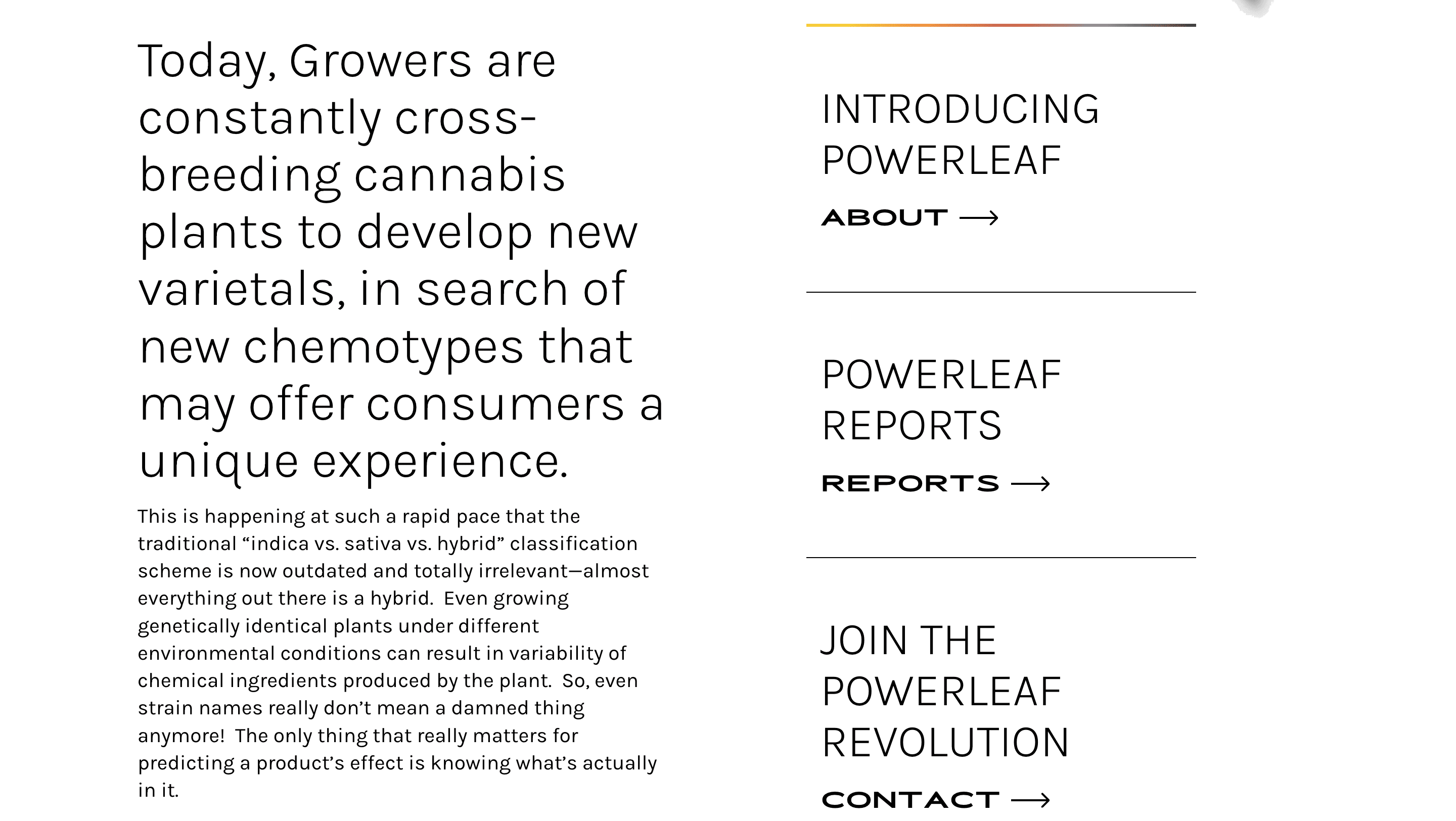 cannabis-retail-recommendation-system